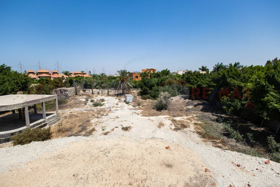 قصر للبيع 8,000 م كينج مريوط (ش قرطبة)