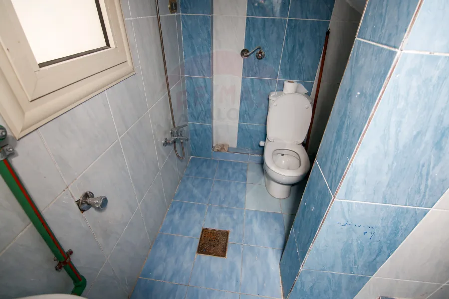 فيلا مفروش للايجار 500 م كينج مريوط (اليجانس كمبوند)