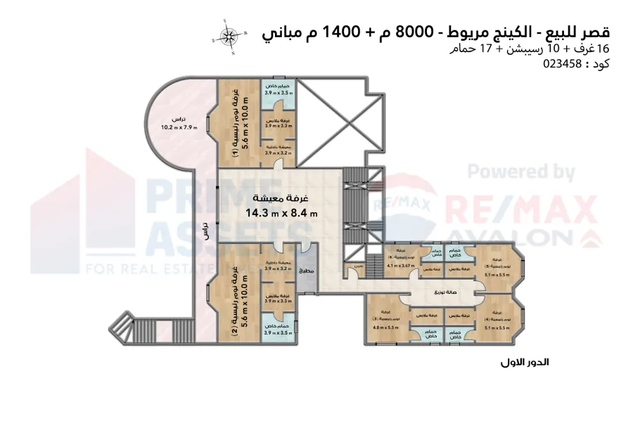 قصر للبيع 8,000 م كينج مريوط (ش قرطبة)