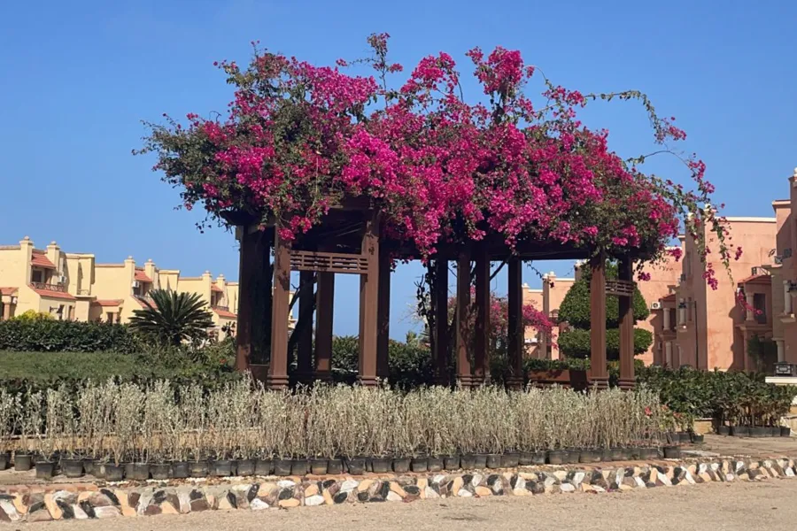 شاليه أرضي للإيجار المفروش (قرية لازوردي)