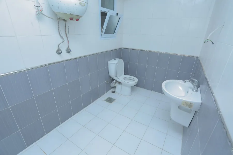 Furnished Apartment for Rent 265 Smouha-Branched from admon fremon St