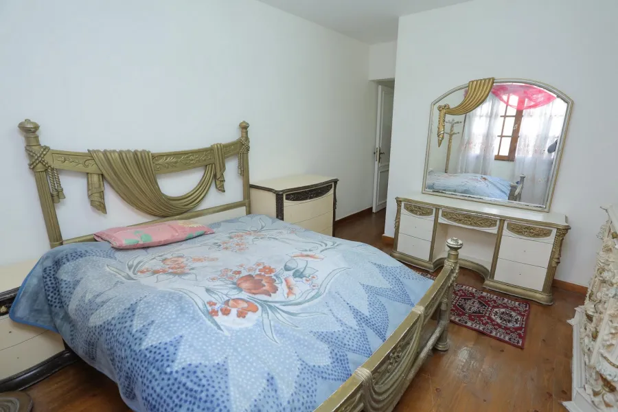 Furnished Apartment for Rent 265 Smouha-Branched from admon fremon St