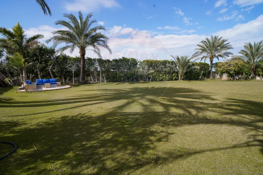 فيلا للبيع 4,200 م (فدان) كينج مريوط (بالقرب من واحة خطاب)