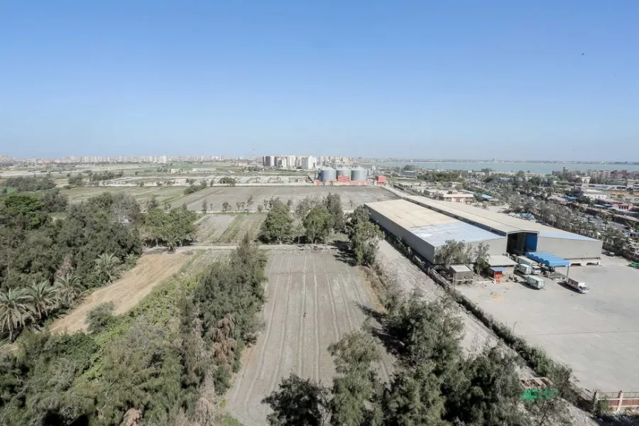 Apartment For Rent 90m Smouha (Hilton St. - Top House Towers)