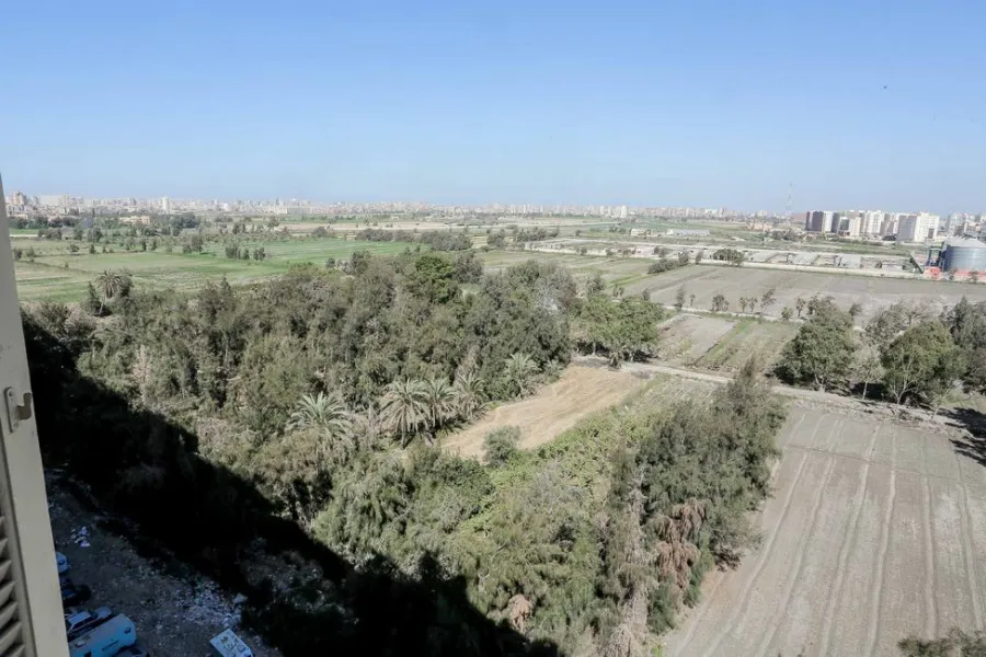 Apartment For Rent 90m Smouha (Hilton St. - Top House Towers)