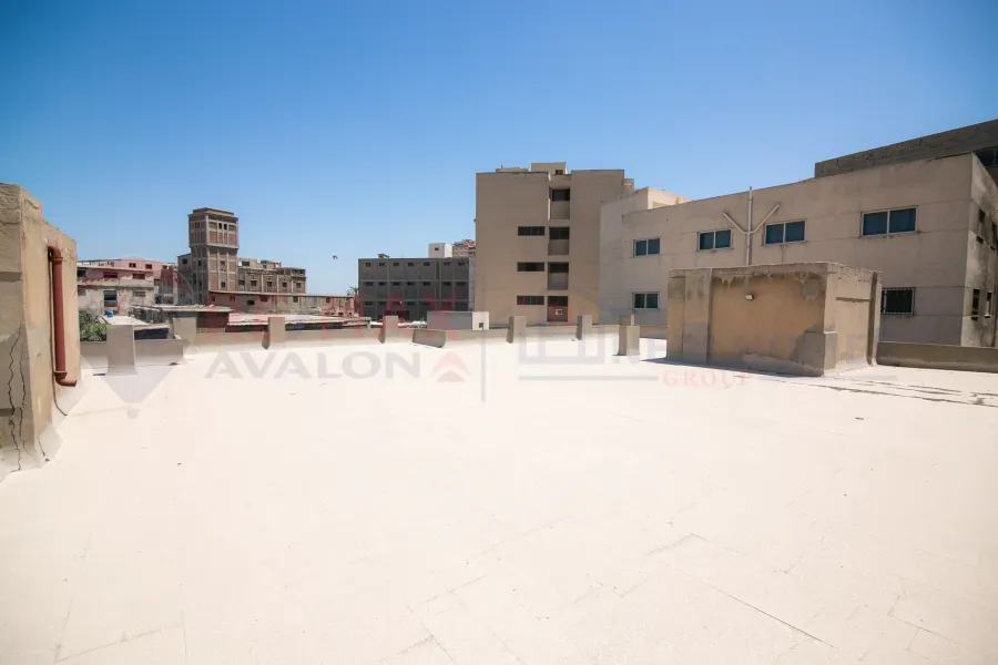 Factory for sale 540 m Smouha (Industrial Area)
