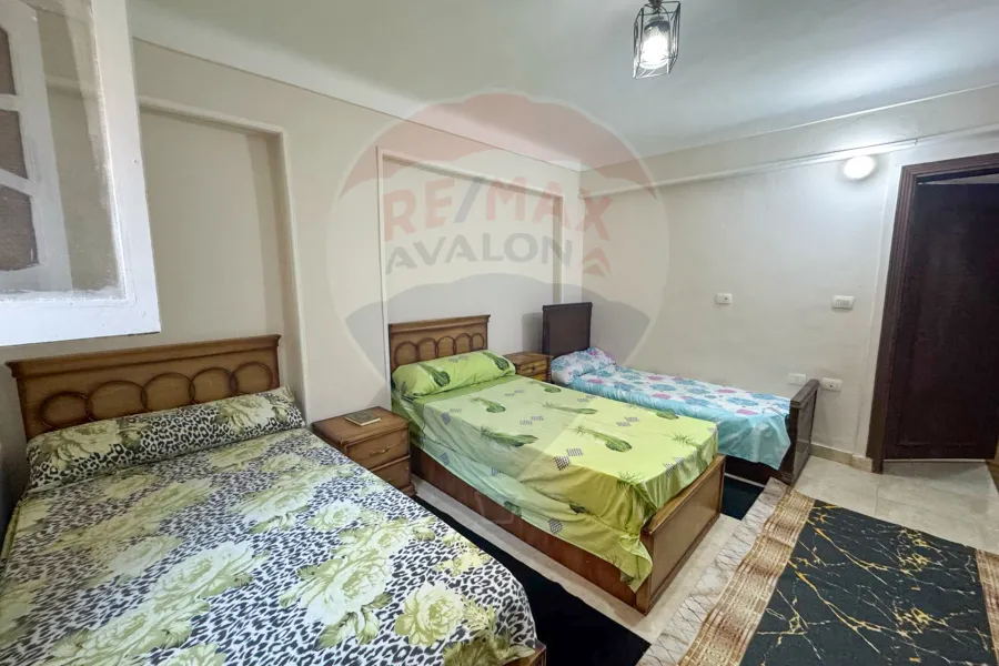 Furnished apartment for rent 100 m Smouha (Green Plaza)