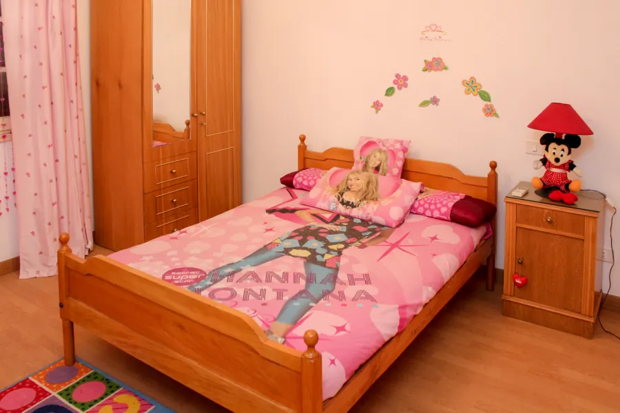 شقة مفروش للايجار 250م بسموحة (ش البرت الاول)