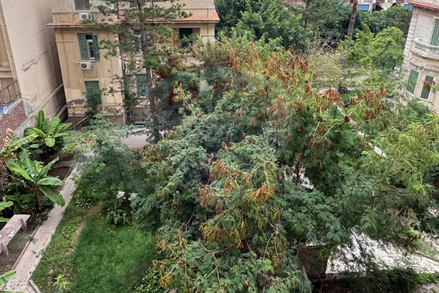 شقة للبيع 184 م جليم (ش مصطفي فهمي)