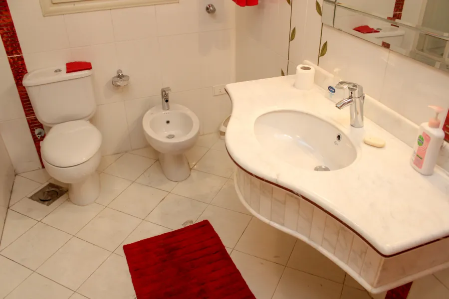 شقة مفروش للايجار 250م بسموحة (ش البرت الاول)