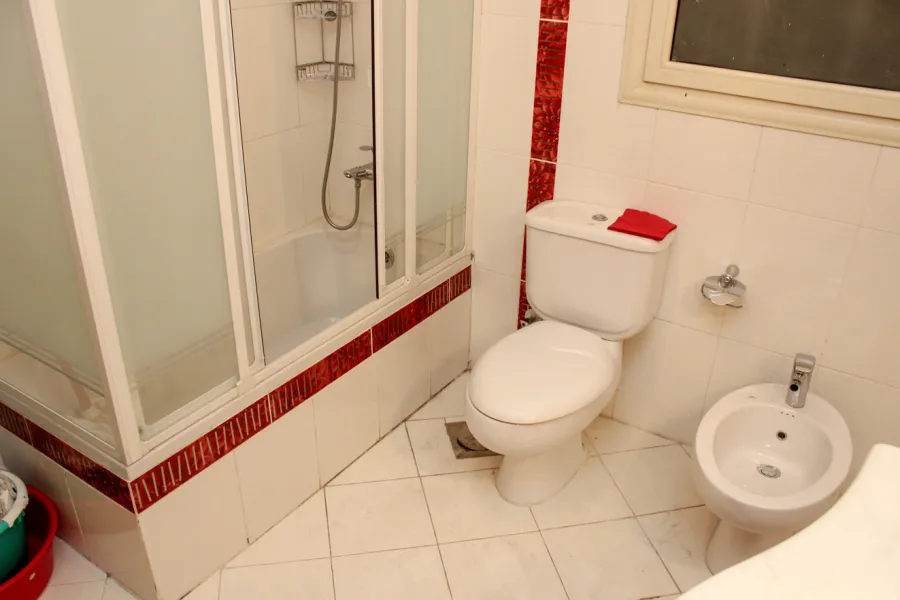 شقة مفروش للايجار 250م بسموحة (ش البرت الاول)