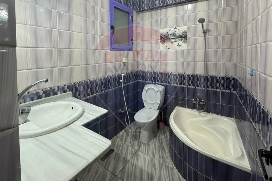 Furnished apartment for rent 100 m Smouha (Green Plaza)