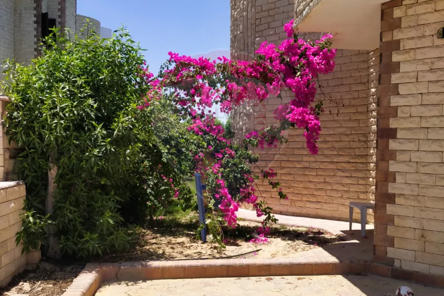 فيلا للبيع الساحل (قرية هليوبيتش) - 300 م