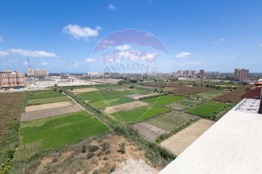Penthouse for sale 825 m Al-Mandara (Cecelia compound)