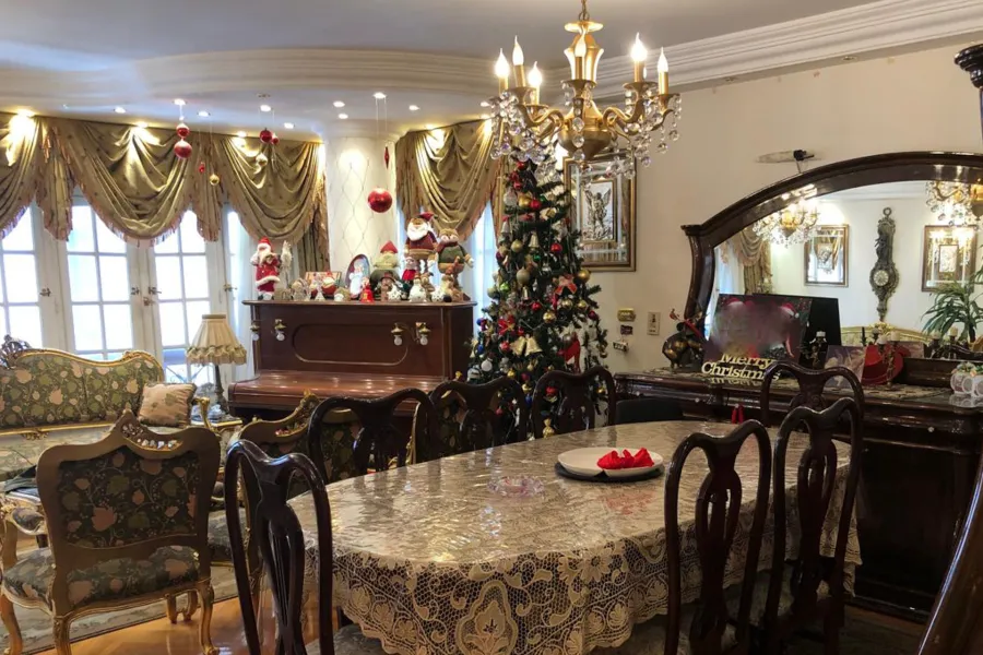 شقة للبيع 185 م سموحة (تقسيم القضاه)