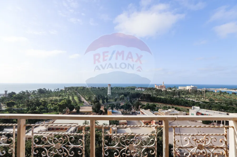 Apartment For Rent 560 m El-Mandra (King Hefny st.)