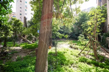 فيلا للبيع 603 م فلمنج (متفرع من ش أبو قير)