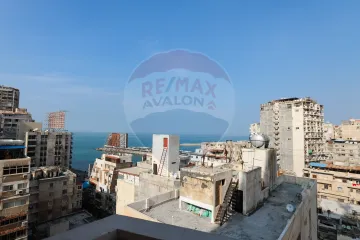 شقة للبيع 264 م جليم (خطوات من الترام)