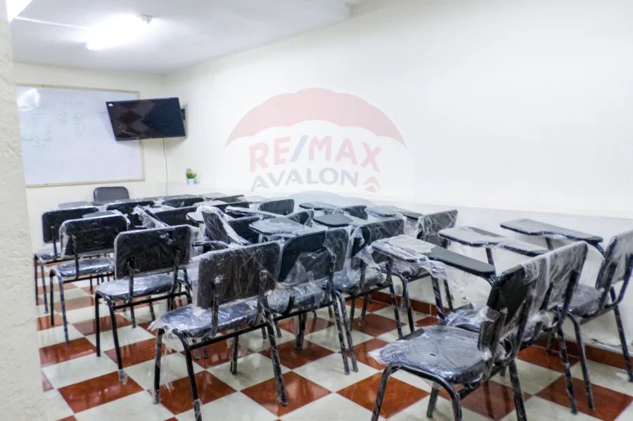 Administration Apartment for rent 180 M Cleopatra (directly on the sea)