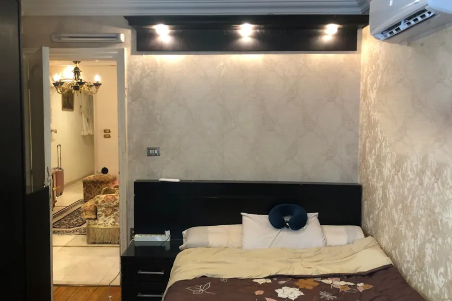 شقة للبيع 185 م سموحة (تقسيم القضاه)