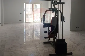 شقة للإيجار 200 م لوران (ش سرهنك)