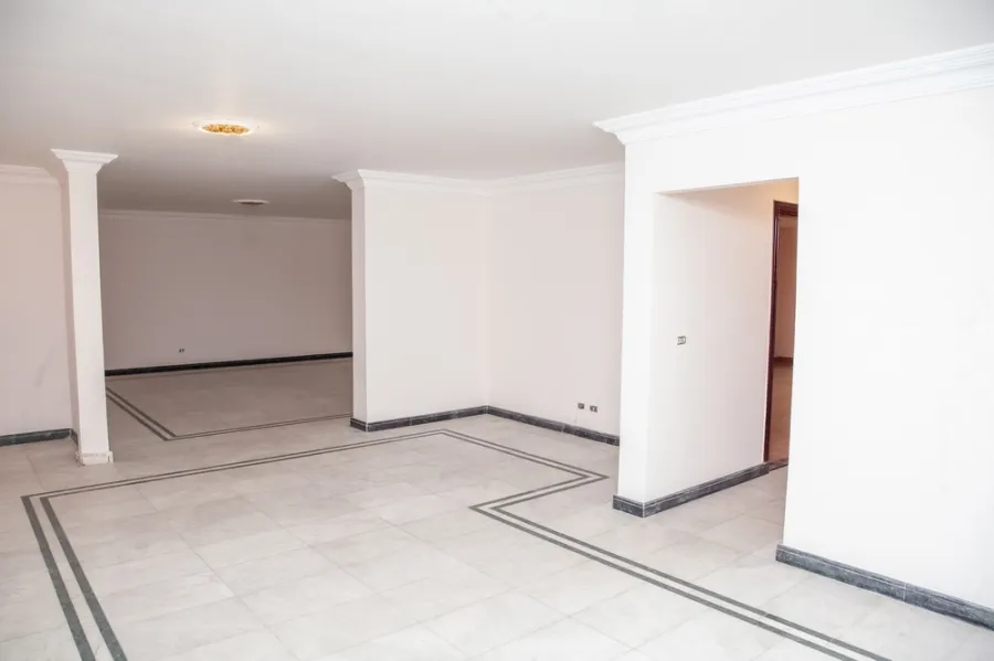 Apartment For Sale 330m Roushdy ( Soryia St.)