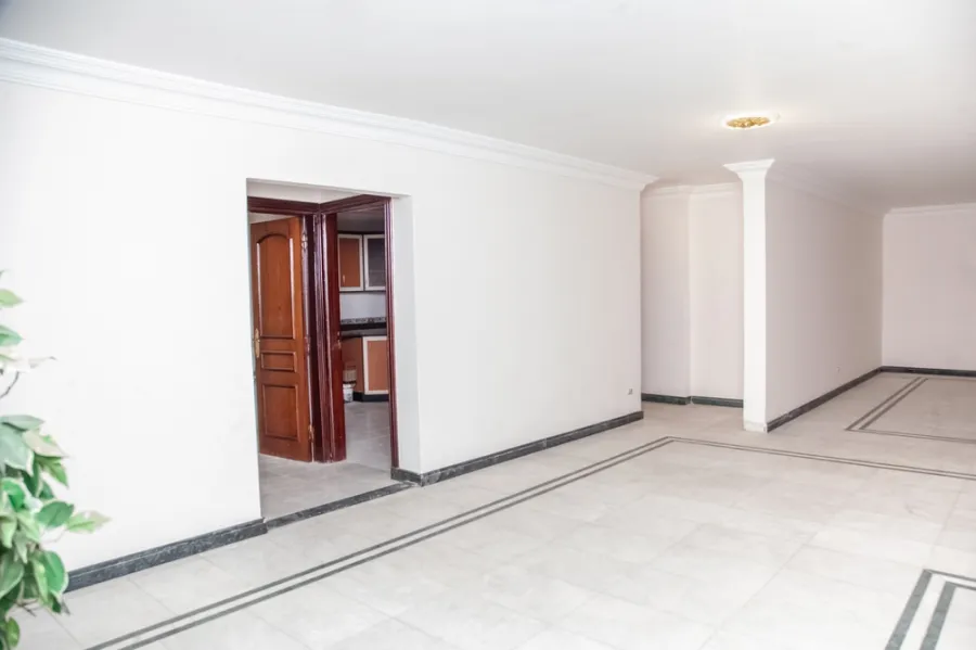 Apartment For Sale 330m Roushdy ( Soryia St.)