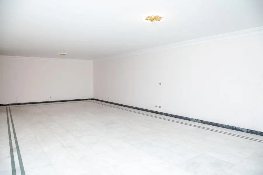 Apartment For Sale 330m Roushdy ( Soryia St.)