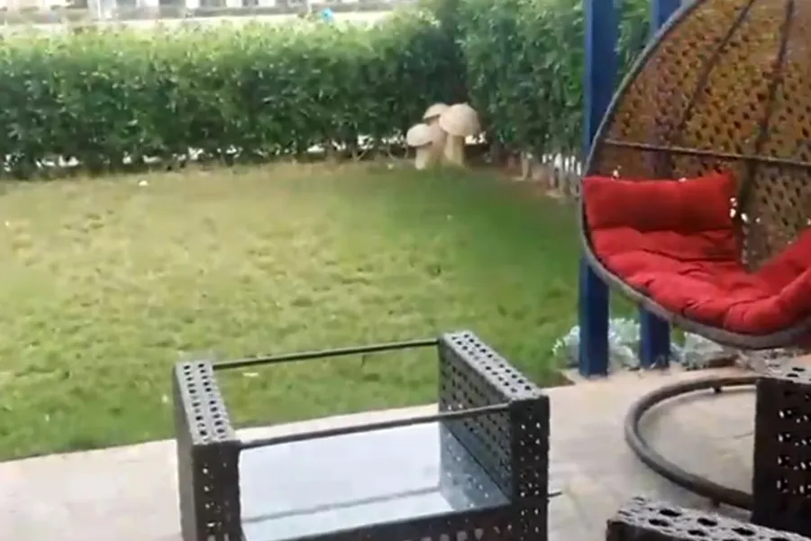 شاليه أرضي بجاردن للبيع (ريماس) 146 م