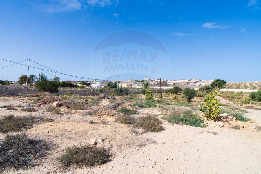 Land for sale 29,400 m North coast (k 36 - Amon village)