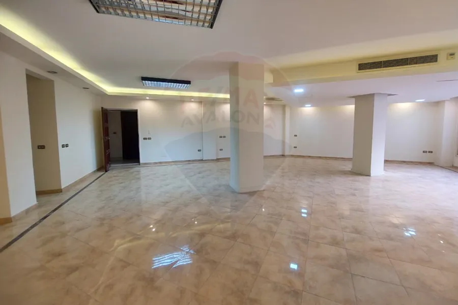 Apartment for rent 260 m Louran (Main Shaarawy St.)