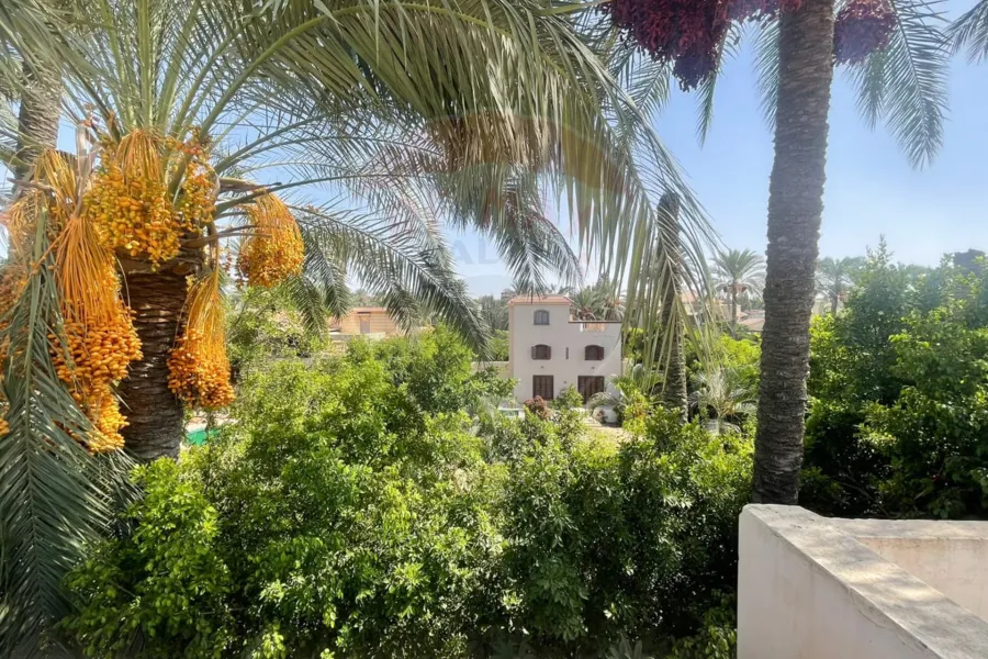 فيلا دوبلكس مسجلة للبيع 2,150 م كينج مريوط ( كمباوند بجوار فندق افريكانا )