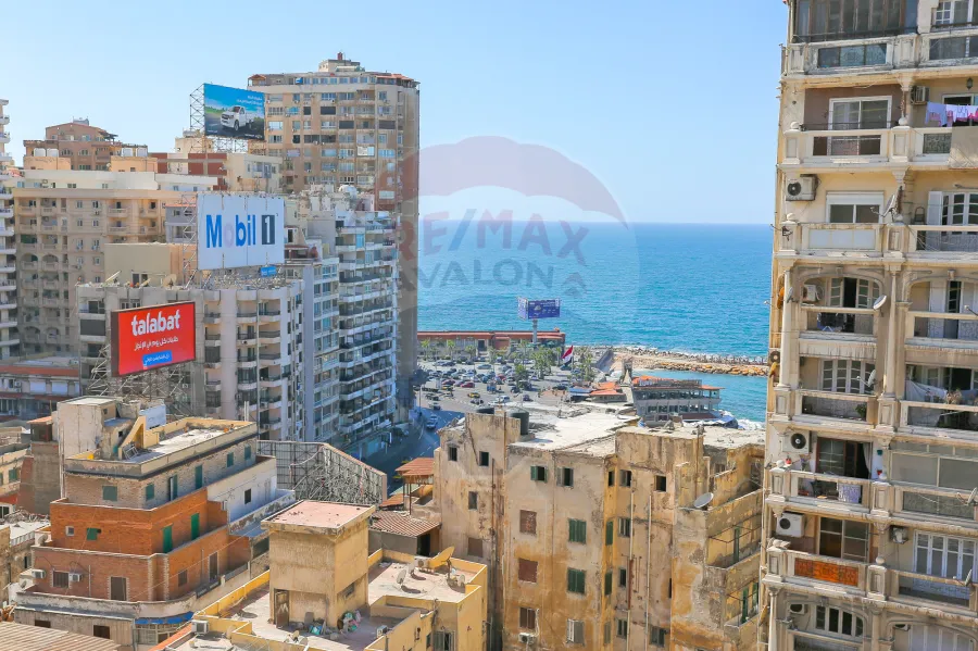 شقه تربلكيس للبيع 735 م  جليم ( خطوات من البحر )