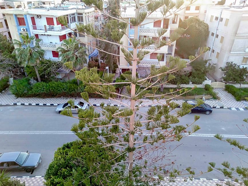 Registered Building For Sale 550m El-Mamoura