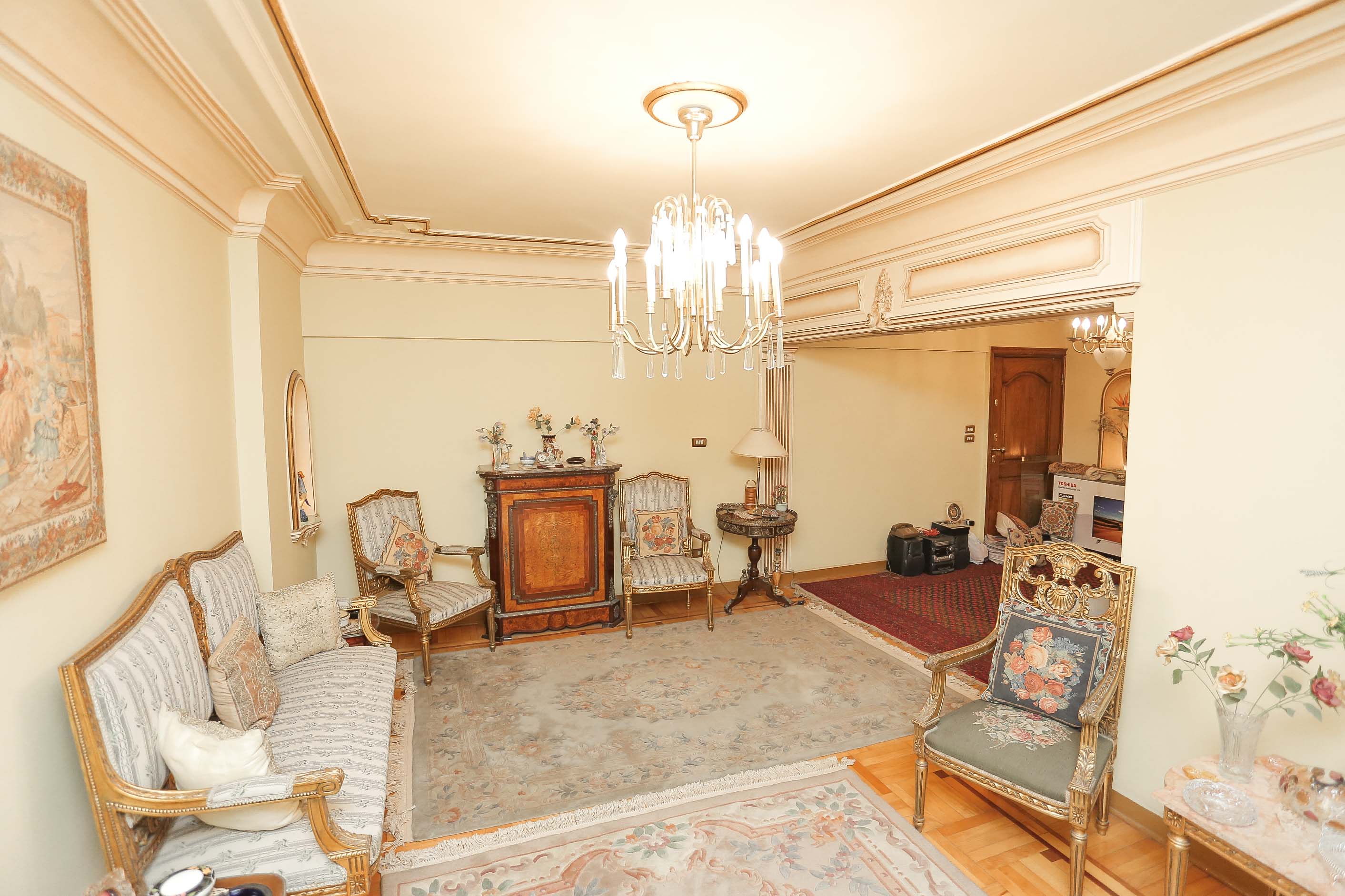 Apartment For Sale 290m Roushdy ( Abou Keir St.)