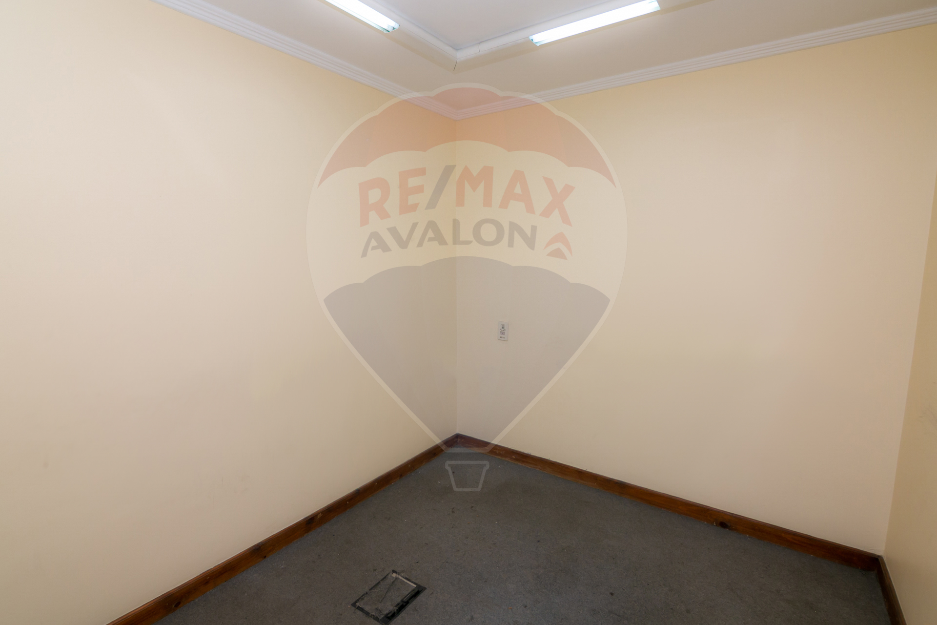 Administrative Apartment for Rent 370 m Smouha (Fawzi Moaaz St)