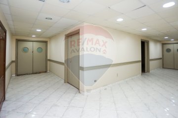 Mezzanine for Rent 825 m Smouha (Fawzy Moaz St.)