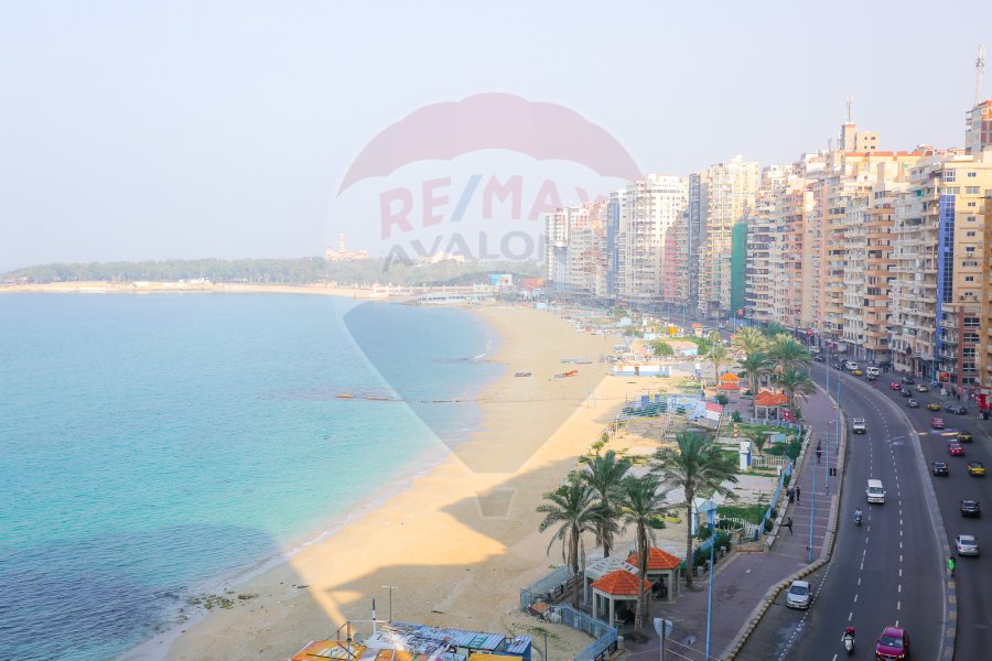Apartment for Rent 215 m Elasafra (1st num from the Sea)