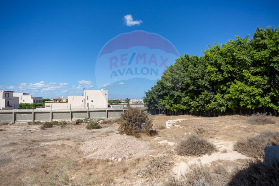 Land for sale 1,000 m King Mariout (Beside Bruxie's)