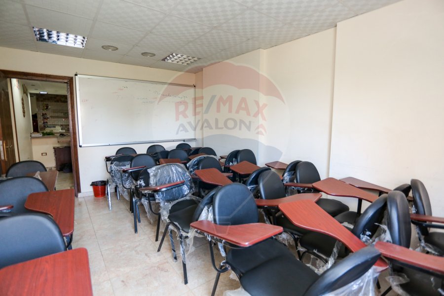 Administrative Mezzanine for Rent 225 m Camp Caesar (Faculty of Engineering St.)