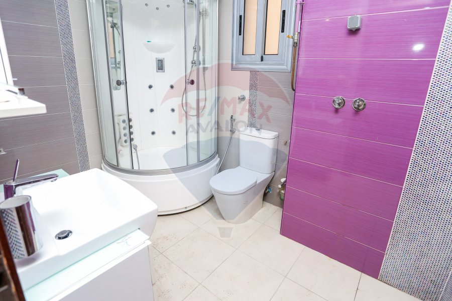 Apartment for rent 250 m Smouha (Solik Towers)