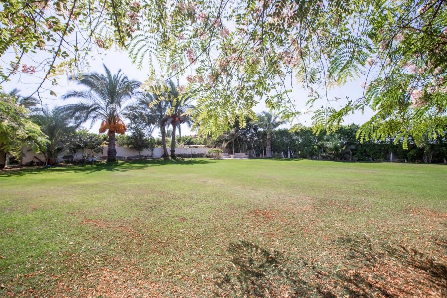 Stand Alone Villa 4500m for Rent King Marriott (Beside Borg El-Arab Airport)