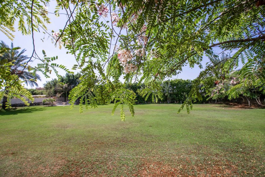 Stand Alone Villa 4500m for Rent King Marriott (Beside Borg El-Arab Airport)