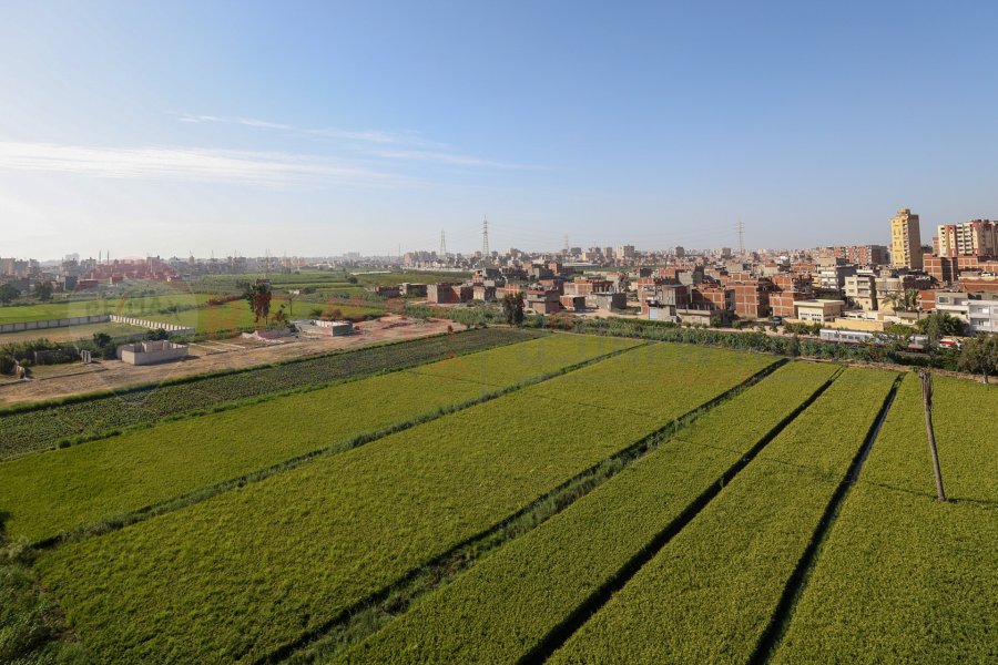 Apartment for sale 113 m New Smouha (Alex Start)