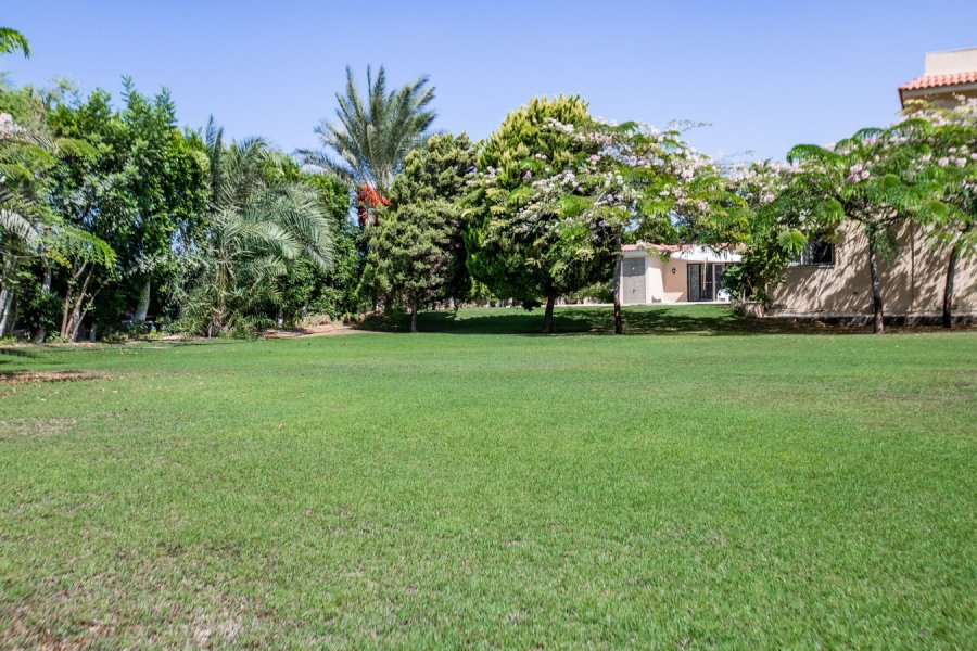 Stand Alone Villa 4500m for Rent King Marriott (Beside Borg El-Arab Airport)