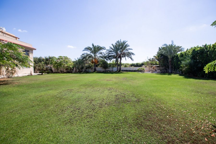 Stand Alone Villa 4500m for Rent King Marriott (Beside Borg El-Arab Airport)