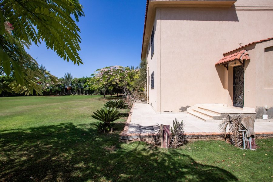 Stand Alone Villa 4500m for Rent King Marriott (Beside Borg El-Arab Airport)