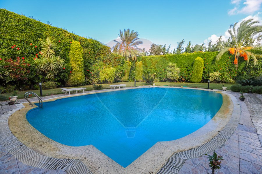 Furnished villa for rent 1,200 m King Mariot (next to Africana Hotel)