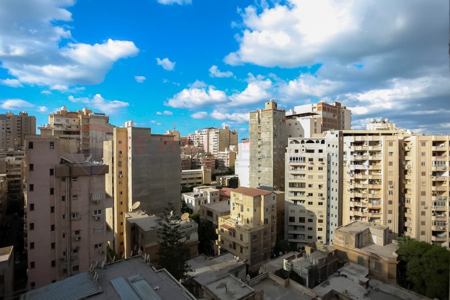 Apartment for sale 212 m Roushdy (Abdelhamed Abady st - brand tower)