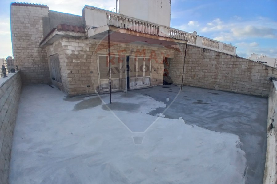 Apartment for sale 370 m Gianaclis (Zou El-Faqar St.)